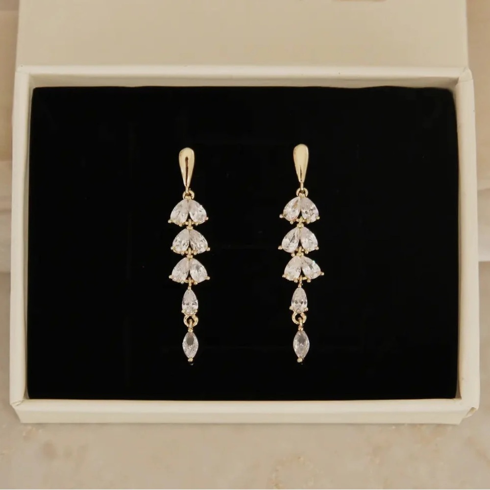 NIB Drop Earrings